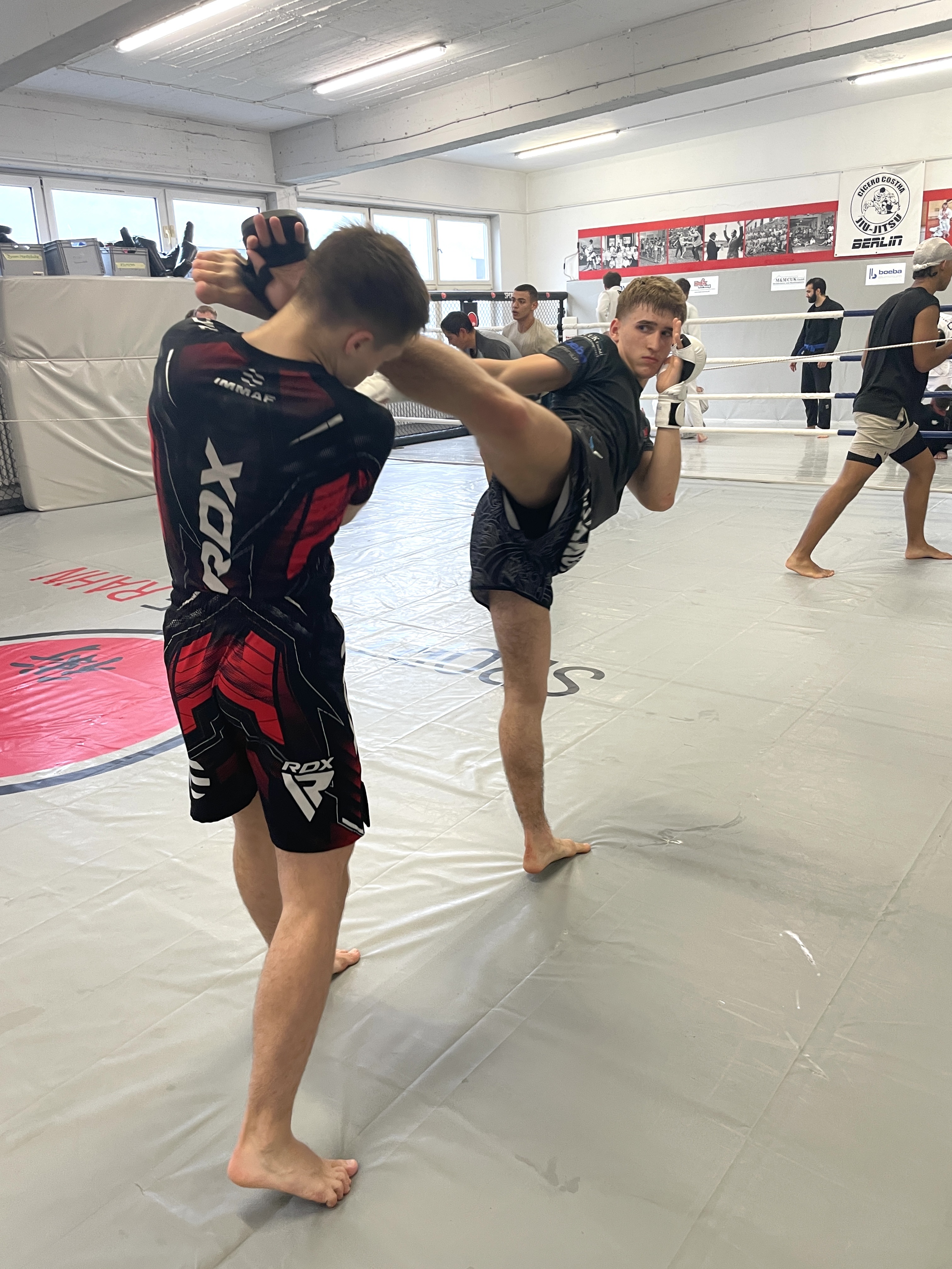 Mixed Martial Arts (MMA) - Galeriebild 8 von 8: Training und Techniken
